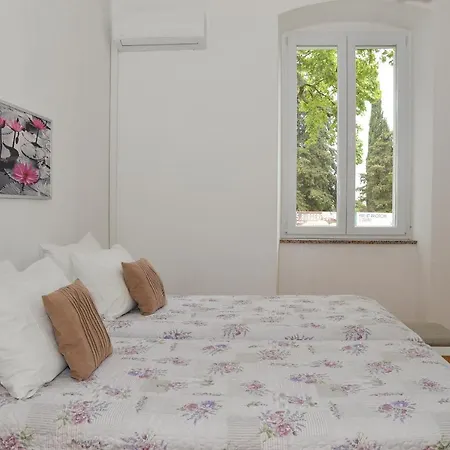 Skunca Apartamento *